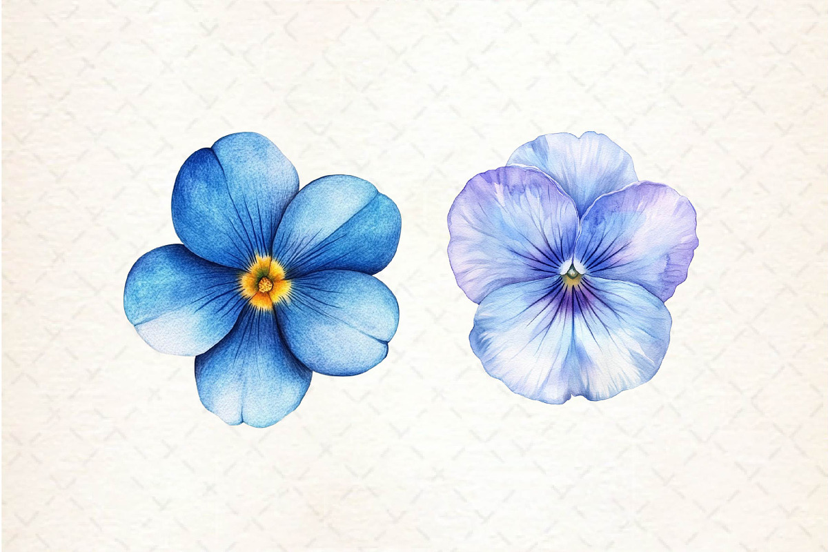 Viola Flower Bloom Clipart, an Illustration by Dream Creation (Photo 4 of 6)