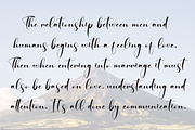 Bustling | Script Font, a Handwritten Font by Scratchones (Thumbnail 6 of 9)