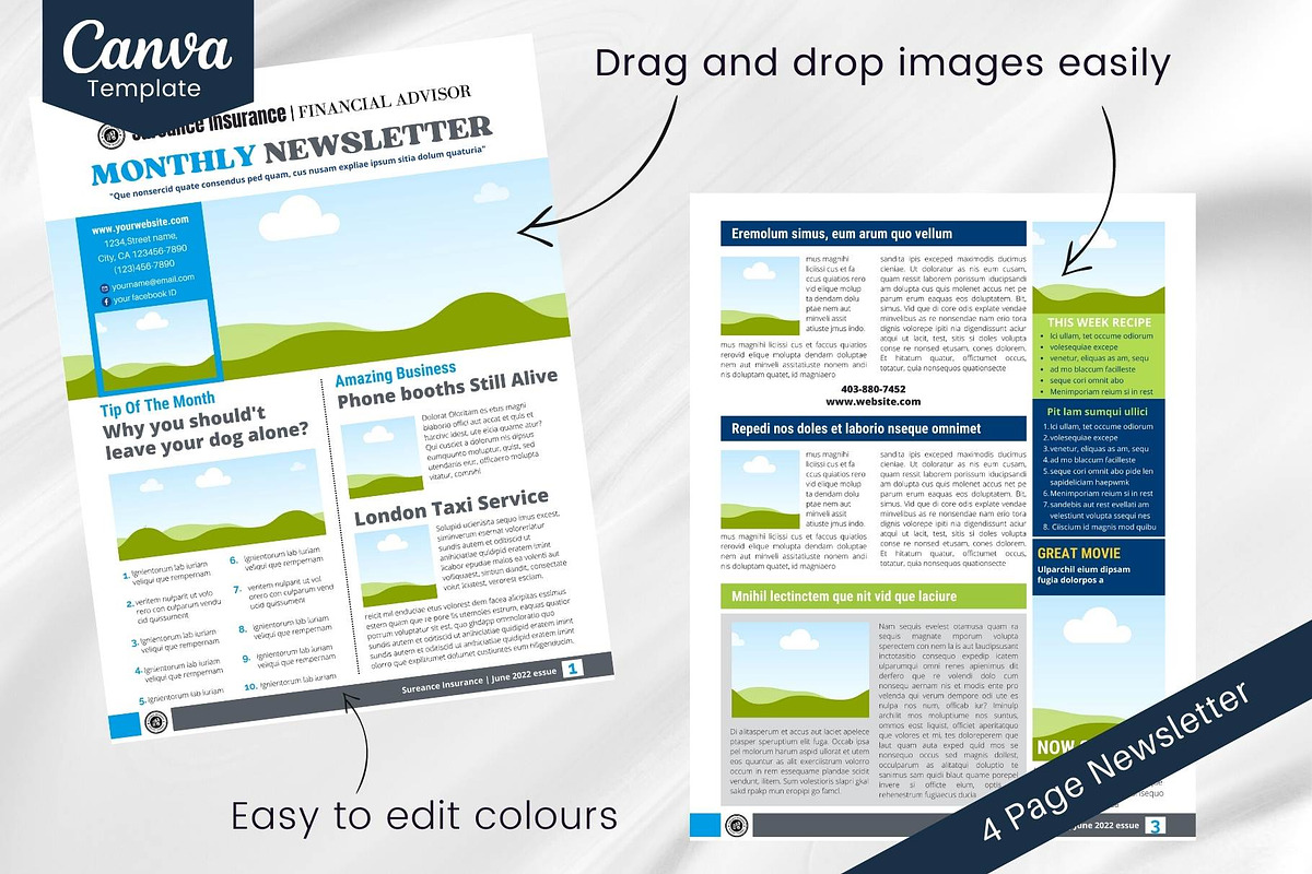 Canva newsletter template for business preview 3