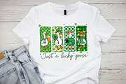 St Patricks Day Funny Goose PNG, a Graphic by Vector Portal (Thumbnail 5 of 9)