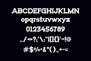 Tomony, a Serif Font by lelevien (Thumbnail 3 of 4)