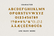 Anderlacht - Vintage Serif + Extras, a Serif Font by Typehand Studio (Thumbnail 4 of 10)