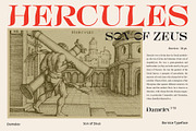 Bornice Modern Serif, a Serif Font by Damelev (Thumbnail 10 of 13)