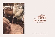 Organic Botanicals & Logo Designs, an Illustration by amber&ink (Thumbnail 11 of 17)
