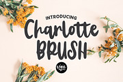 ULTIMATE .OTF FONT BUNDLE - 45 FONTS, a Script Font by Blush Font Co. (Thumbnail 7 of 13)