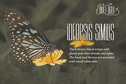 Sito Neran - Condensed Font, a Sans Serif Font by NDNL Studio (Thumbnail 6 of 9)