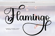 Flamingo, a Handwritten Font by FreshTypeINK (Thumbnail 1 of 8)