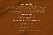 Wesynetta, a Script Font by Integritype Studio (Thumbnail 9 of 15)