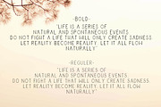 Samelia Family Font, a Sans Serif Font by Jhoel Design (Thumbnail 5 of 9)