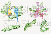 Tropical Parrots Watercolor Clipart, a Decorative Illustration by STASIstudio (Thumbnail 3 of 4)