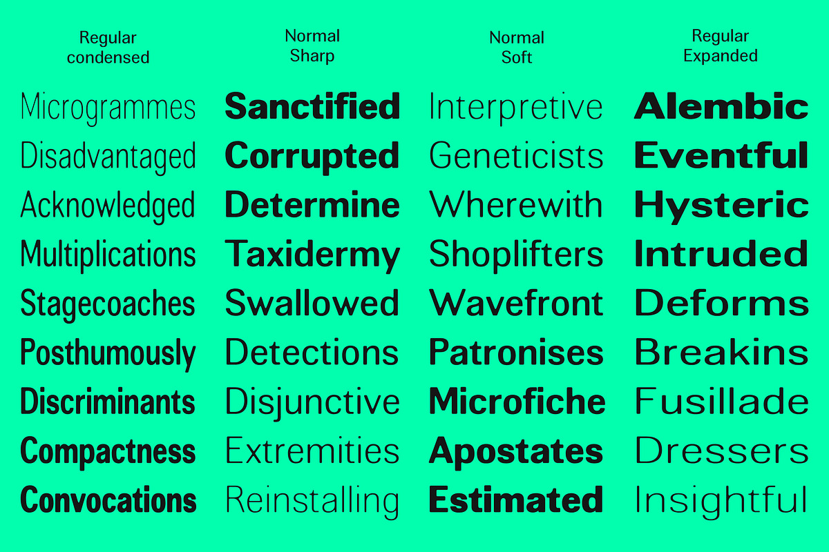 Altavion, a Sans Serif Font by Mantype Studio (Photo 15 of 15)