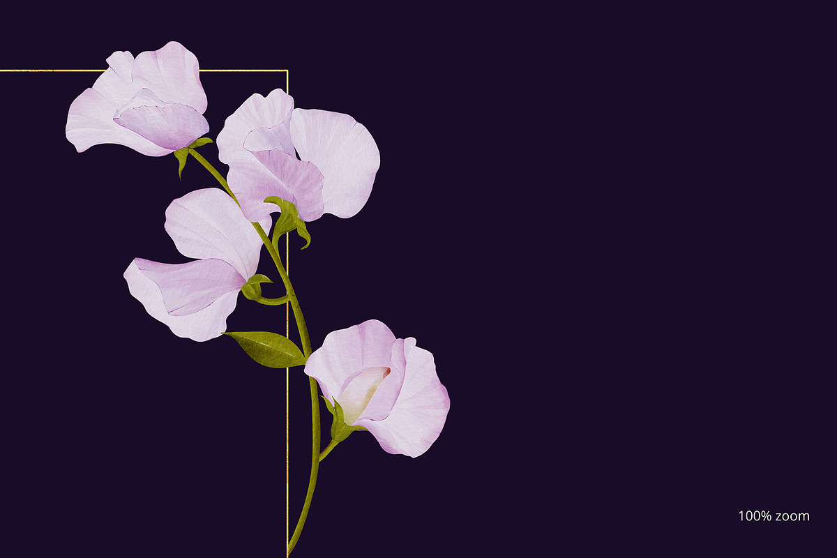 30% Off - Sweet Pea Watercolor, an Object Graphic by bloomscape (Photo 10 of 13)