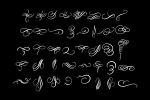 Calligraphy Filigree Flourish Vector