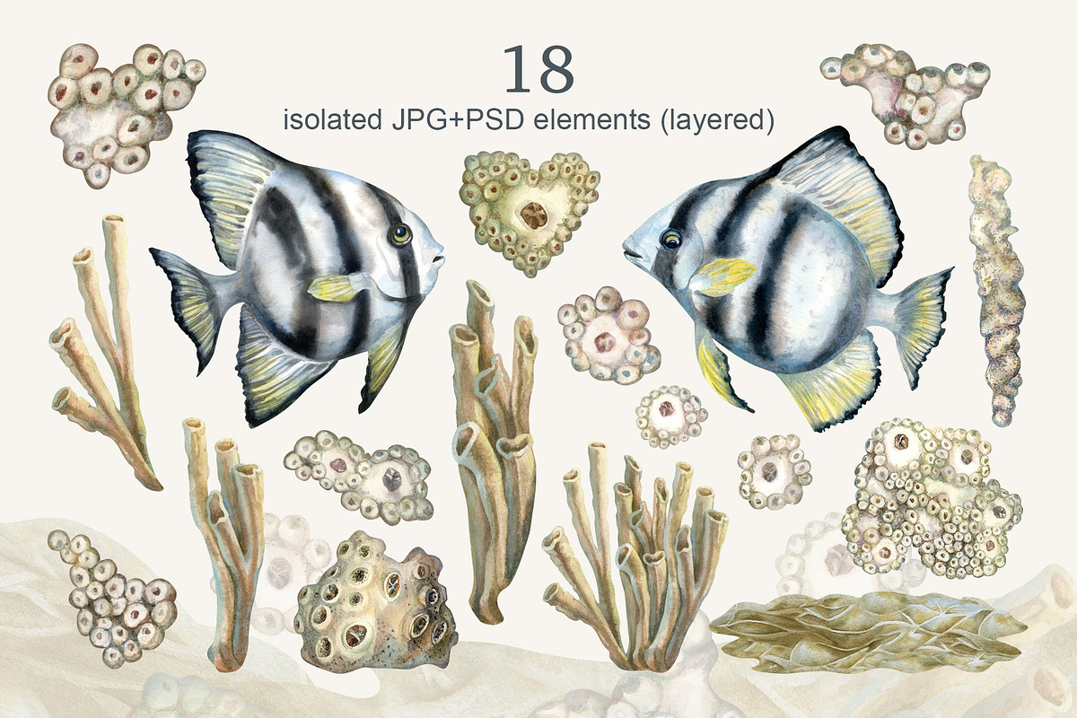Calm fish watercolor clipart, an Animal Illustration by EL_SUHOVA (Photo 2 of 13)