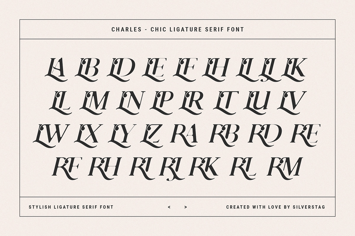 Charles - Ligature Serif Font Family, a Serif Font by SilverStag Type Foundry (Photo 28 of 32)