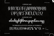 Gastonia, a Handwritten Font by FreshTypeINK (Thumbnail 7 of 8)