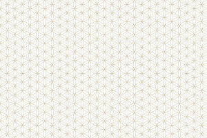 Ornament Seamless Geometric Patterns