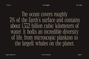 Ferdinos, a Serif Font by Dora Typefoundry (Thumbnail 2 of 14)