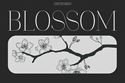Polyglot Neue, a Serif Font by MJtypefoundry (Thumbnail 6 of 13)