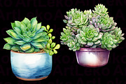 Succulents Watercolour Clipart, a Decorative Illustration by LekoArt (Thumbnail 7 of 10)