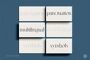 Casablanca - Sleek & Exotic Serif, a Serif Font by Alubia design (Thumbnail 6 of 11)