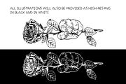 Social democracy roses - vector, a Decorative Illustration by Renée from Studio neetje (Thumbnail 5 of 5)