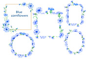 Blue cornflowers bundle, a Decorative Illustration by EshaStudio (Thumbnail 4 of 15)