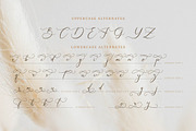 Galteniya | Beautiful Script, a Script Font by Denustudios (Thumbnail 14 of 15)
