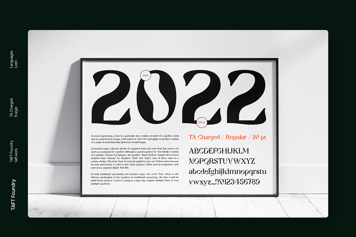 TA Charged, a Serif Font by TAFT Foundry (Photo 13 of 19)