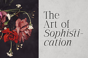 The Letter Editorial – Modern Serif, a Serif Font by Lettertype Studio (Thumbnail 5 of 16)