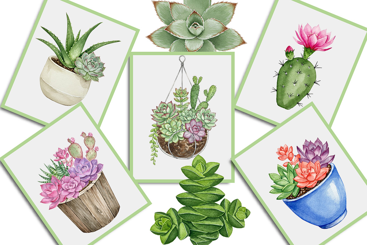 Watercolor Succulent Clipart, an Illustration by Creative Art (Photo 5 of 10)