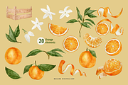 Watercolor Orange Fruit Clipart PNG, a Food Illustration by Balada Digital Art (Thumbnail 3 of 6)