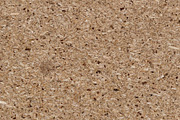 Flat plywood board texture, a Texture Graphic by Textures Shop (Thumbnail 2 of 2)