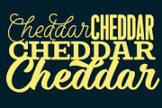 Steak & Cheese Bundle, a Slab Serif Font by Fenotype (Thumbnail 11 of 14)
