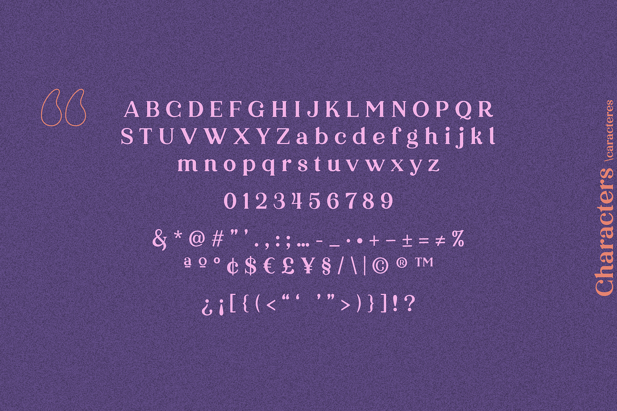 By Lush - Modern Cute Serif, a Serif Font by The Fooltype (Photo 4 of 12)