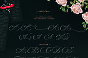 Absolutely Adorable Sophia, a Script Font by Blessed Print (Thumbnail 3 of 11)