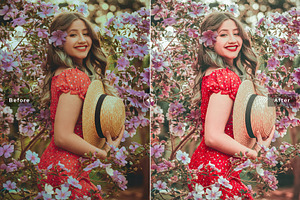 Hackberry Pro Lightroom Presets