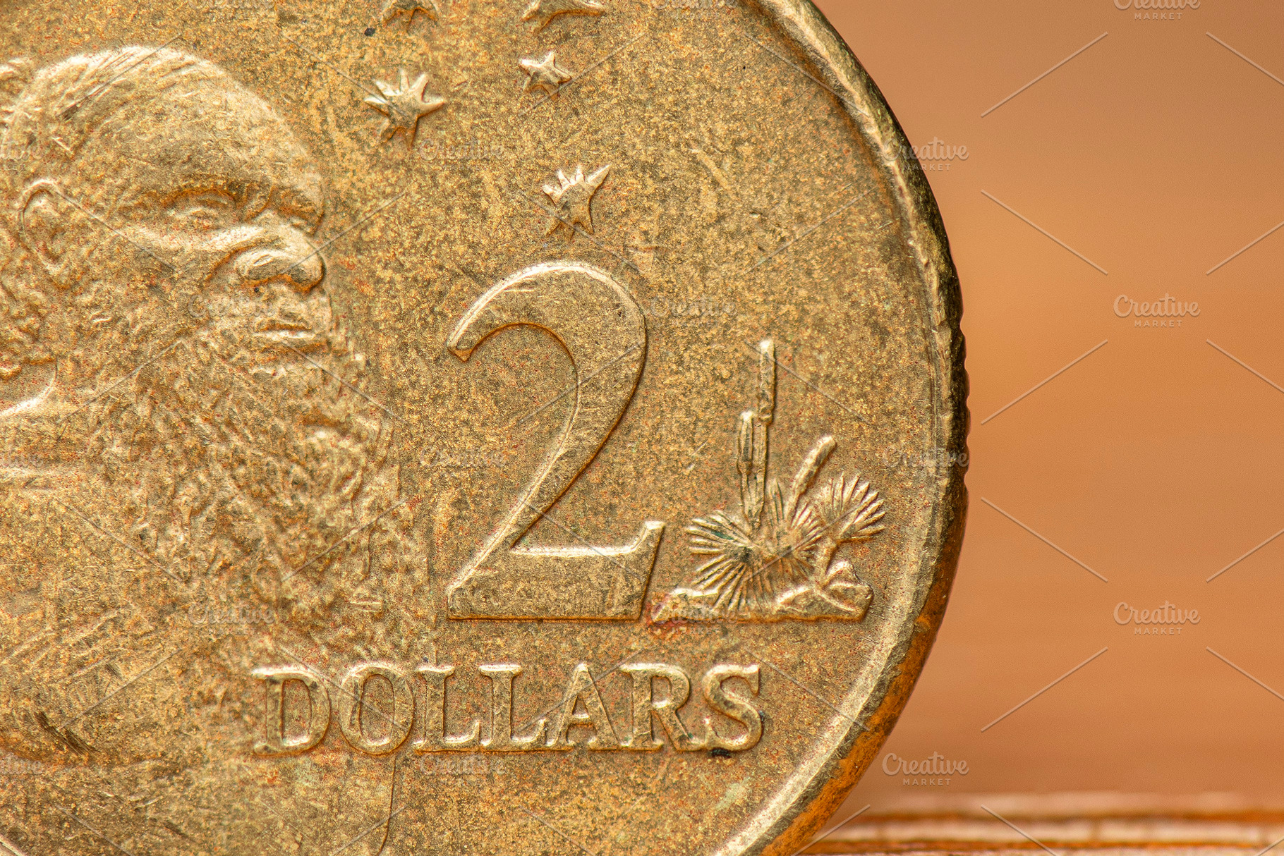 Australian Two Dollar Coin, a Business Photo by Rob D Animal Photography