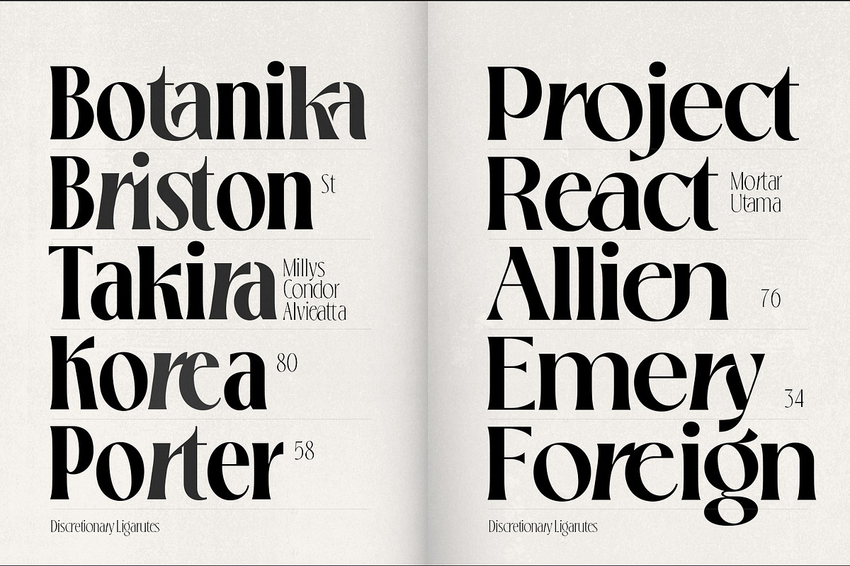 Loubrisa - Playful Branding Fonts, a Serif Font by creativemedialab (Photo 4 of 13)