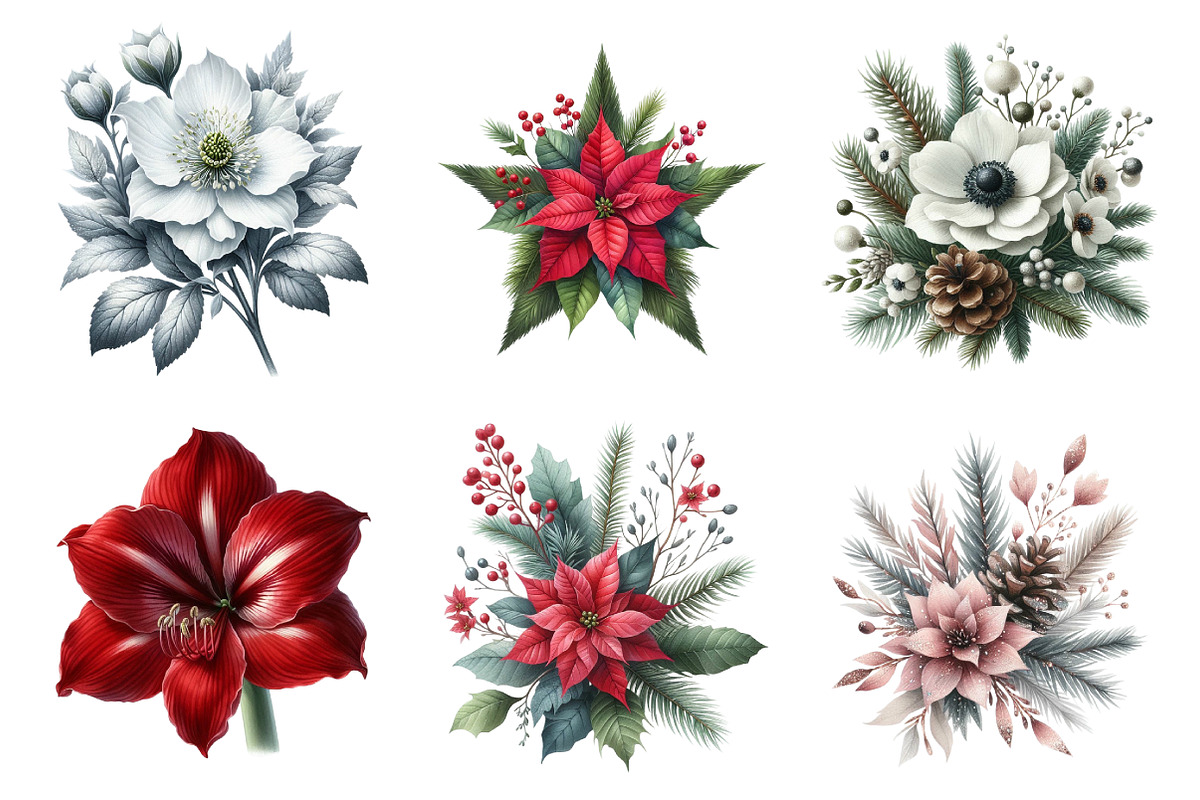 Christmas Flowers Clipart, an Illustration by Daily.Designs (Photo 3 of 3)