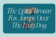 Anthalie - Elegant Modern Serif, a Serif Font by Luna Shop (Thumbnail 9 of 9)