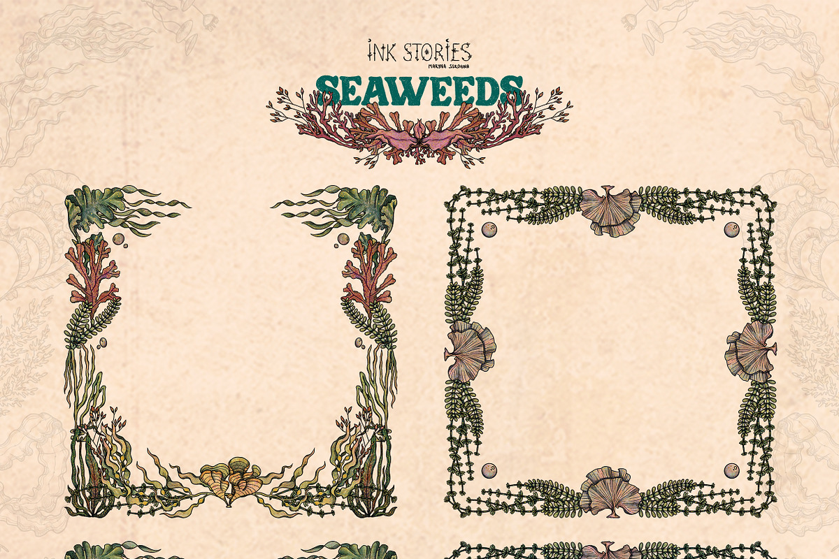Seaweeds, an Object Illustration by Ink Stories (Photo 10 of 24)
