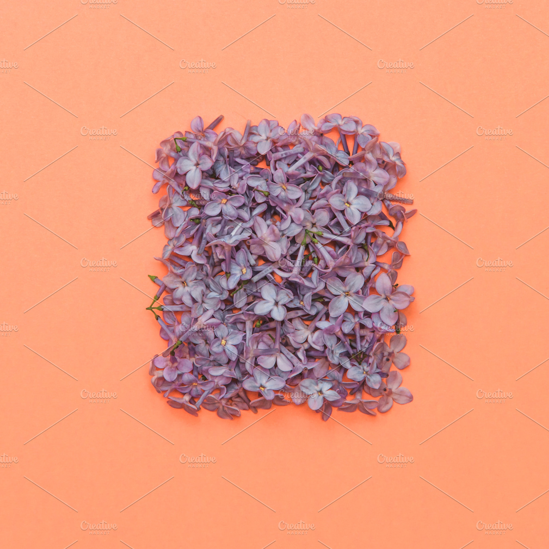 flowers in shape of a square, a Beauty & Fashion Photo by Katya Havok