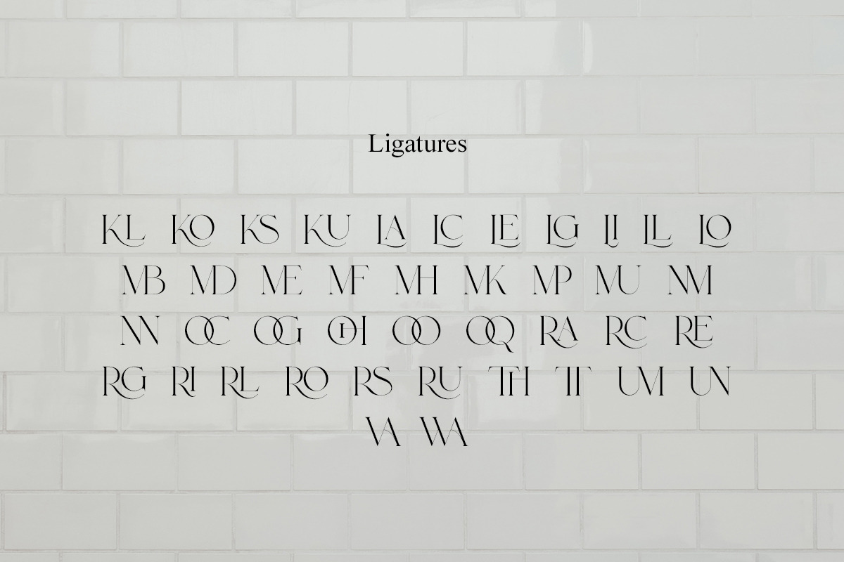 Roylles | Ligature Stylish, a Serif Font by Muntab_Art (Photo 12 of 13)