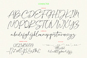Rettgaros Script, a Script Font by Realtype (Thumbnail 12 of 12)