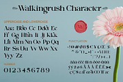 Walkingrush, a Sans Serif Font by LetterStock (Thumbnail 4 of 7)