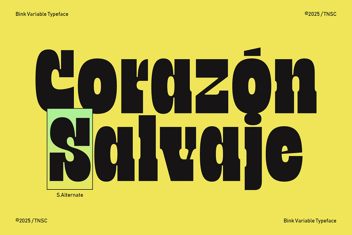 TNSC Bink - Slab Serif Display, a Slab Serif Font by The Native Saint Club (Photo 3 of 16)