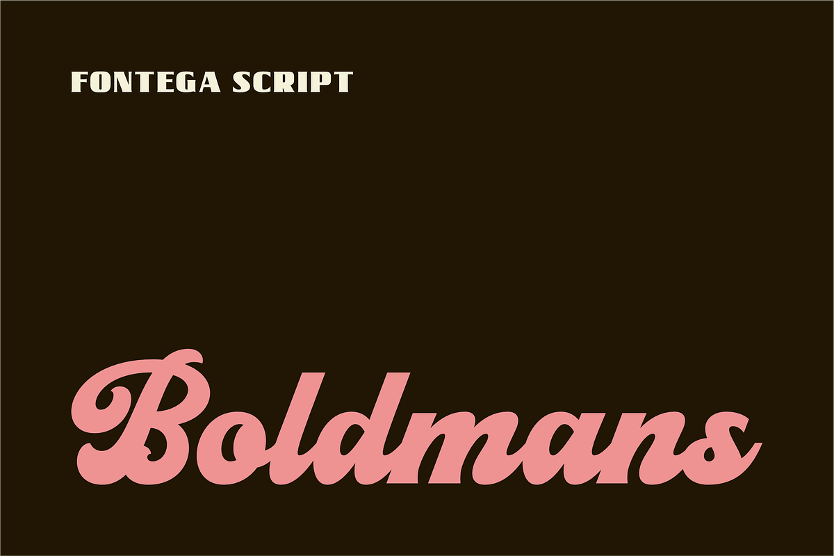 Fontega, a Script Font by ahweproject (Photo 9 of 11)