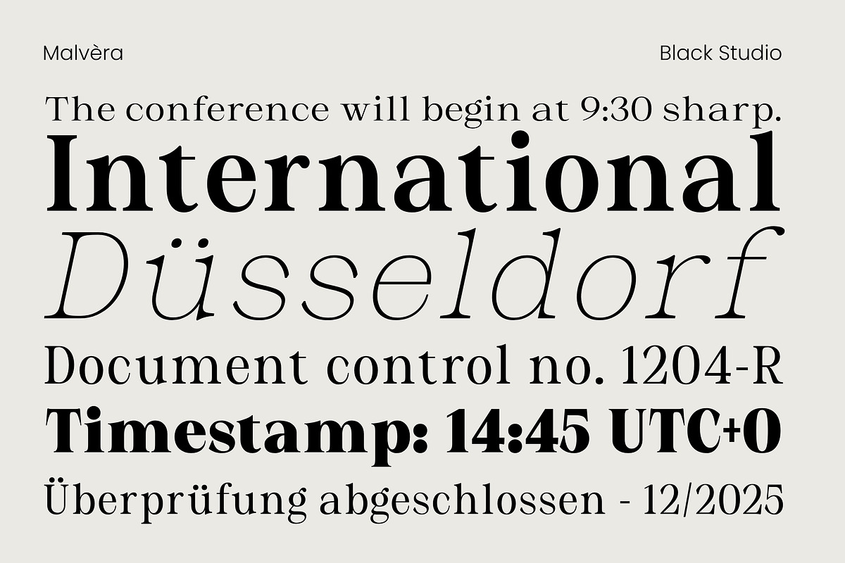 Malvera, a Serif Font by Black Studio (Photo 7 of 16)