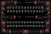 Silver Shard Typeface, a Blackletter Font by alit design (Thumbnail 7 of 20)